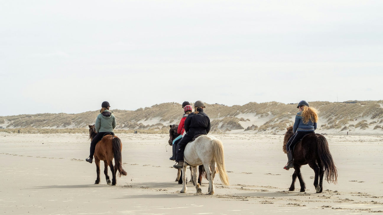 Horse Riding
